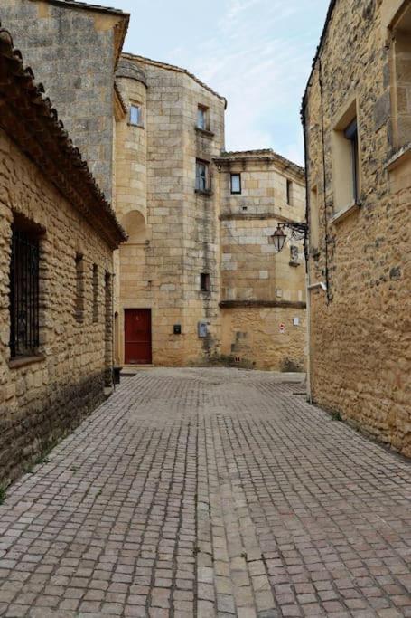Апартаменты Entre Uzes Et Le Pont-Du-Gard Le Logis D'Autrefois Кастийон-дю-Гар Экстерьер фото